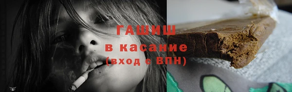 хмурый Аркадак