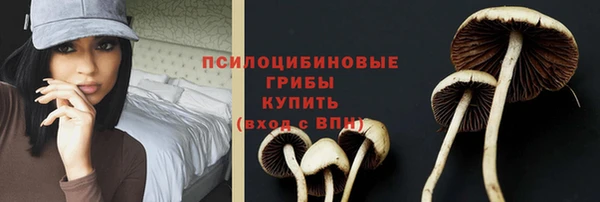 прущий лед Армянск