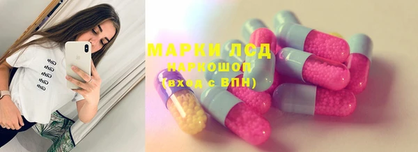хмурый Аркадак