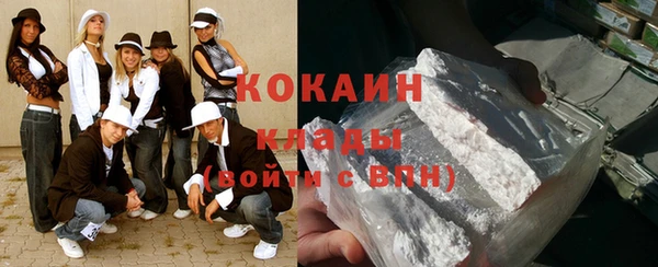 хмурый Аркадак