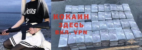 хмурый Аркадак