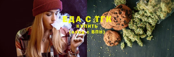 хмурый Аркадак