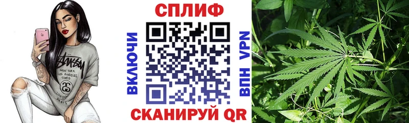 Канабис сатива  Купить  Новодвинск 